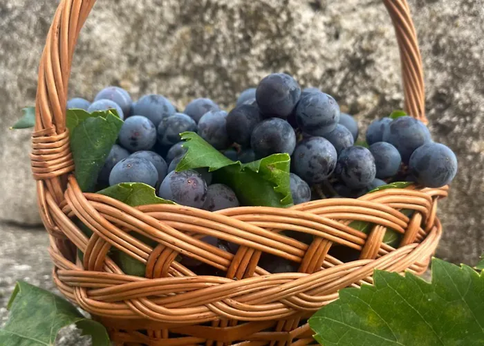 Vardio Apartment Dubrovnik Parking Jacuzzi Apartment Makose