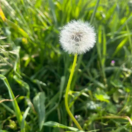 Vardio Luxury Sea View With Jacuzzi Dubrovnik Apartmán Makose