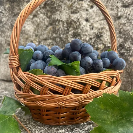 Vardio Sea View With Jacuzzi Dubrovnik Apartman Makoše