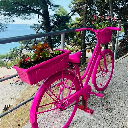 Vardio Sea View With Jacuzzi Dubrovnik Apartman